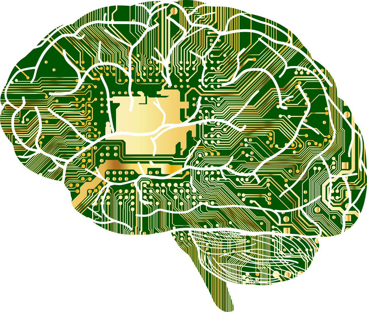 Imagen de un cerebro artificial